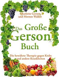 Gerson reuter (3) daniel c. Gerson Buch Zvab