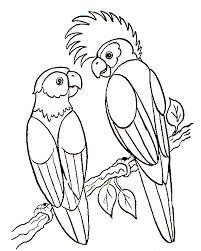 Kids can print out and color pictures of robin, parrot, eagle, falcon and other birds. Coloring Pages Birds Animated Images Gifs Pictures Animations 100 Free