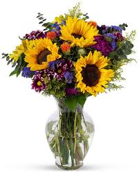 There are numerous small, spherical blooms that run the length of the stems. Amazon Com Benchmark Bouquets Flowering Fields With Vase Fresh Cut Flowers Grocery Gourmet Food