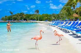 Flamingo Beach E Renaissance Island Passeios Em Aruba