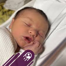 Cat urine removal suggestions needed