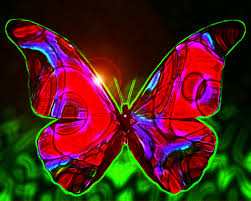 Kupu kupu sendiri merupakan kumpulan serangga yang dikelompokkan dalam ordo lepidoptera. 50 Beautiful Butterfly Wallpapers For Desktop On Wallpapersafari