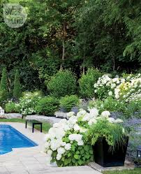 Raised Rock Garden In The Raised Rock Garden A Profusion Of Lavender Offers Colour And Scent While Dai Pool Landscaping Hampton Garden Landscaping With Rocks