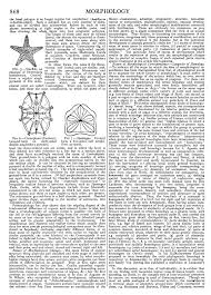 Image result for Centrostigma