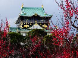 In yakuza 2 and its kiwami remake , it is the headquarters of the omi alliance 's sengoku family. Kansai Culture Plum Blossoms At Osaka Castle 2020