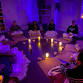 Transform With Me Wim Hoff Breathwork Journey  event image