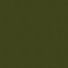 Image result for Dark Green 1994 Colt