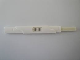 Será que o teste positivo está errado? Teste De Gravidez De Urina Positivo Procuro Saude