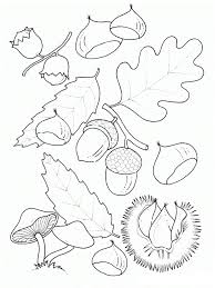 Orman Ormanhaftasi Agac Agacgunu Cevrekorumahaftasi Belirligunvehaftalar Boyamasayfasi Orman Sarkilari Aplike Sablonlari Nakis Desenleri Boyama Sayfalari