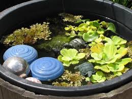 Miniteich Mini Pond Http Www Mein Schoener Garten De Jforum Posts List 4805103 Page Miniteich Teich Garten