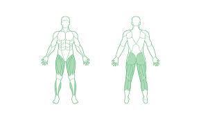 Damit ist in diesem fall der trainingsumfang gemeint. Der Bauch Beine Po Trainingsplan Von Upfit