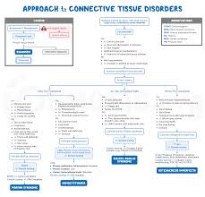 Image result for Connective Tissue Disorder