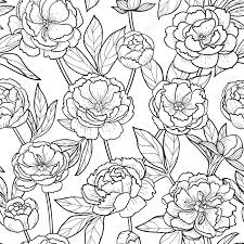 Seamless pattern, hand drawn outline pink peony flowers on white background wall mural. Peony Flowers And Leaves Seamless Pattern Floral Romantic Outline Royalty Free Cliparts Vectors And Stock Illustration Image 92630608