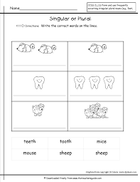 Singular And Plural Nouns Worksheets From The Teacher S Guide Plurals Irregular Plural Nouns Irregular Plurals