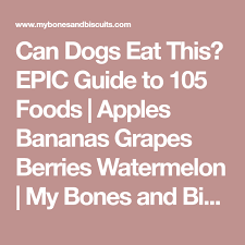 Can Dogs Eat This Epic Guide To 105 Foods Apples Bananas Grapes Berries Watermelon My Bones And Biscuits Grape Berry Can Dogs Eat Dog Eating