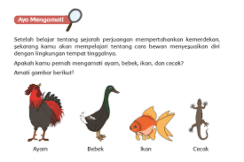 Check spelling or type a new query. Rmqltdzc9ttiym