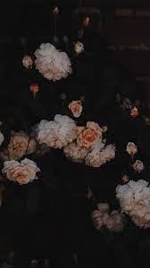 Wallpaper Auf Ihrem Iphone Iphone Zu Tapete Aesthetic Tapete Iphone Tumblr Pastell Iphone Phone Wallpapers Vintage Floral Wallpaper Flower Aesthetic