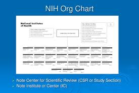 Successful Grant Writing And Application Ppt Download