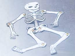 Between these different options you can pose a very long bone chain very quickly, faster than you can with most easypose setups. How To Make A Human Skeleton Out Of Paper 12 Steps