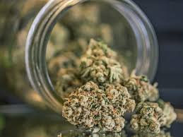 Weed makes me feel the way i need to feel. Drug Slang Common Street Names For Illicit Drugs