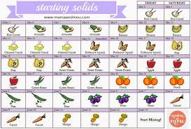 Pin By Meg Holt On Baby Holt Baby Food Recipes Baby Solid