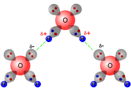The partial negative charge on the o of one molecule can form a hydrogen bond with the partial positive charge on the hydrogens of other molecules. Structure And Bonding 2 43 Hydrogen Bonding