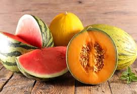 Melon Varietes De Melons Et Tableau Des Caracteristiques De Differents Types De Melon Avec Sa Planche Illustree Des Melons