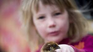 Drömmen om det egna självhushållet