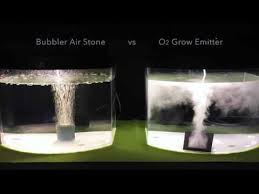 In this video i test the effectiveness of an airstone bubbler vs fluming (and. Pin On Aquarium