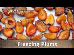 How To Freeze Plums Youtube