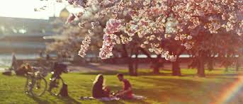 Automotive, equipment, manufacturing and engineeri / others. Service Racktime