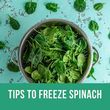 They also work well when cooking rice, quinoa, or barley. Can You Freeze Spinach Learn How To Freeze Reheat And Defrost