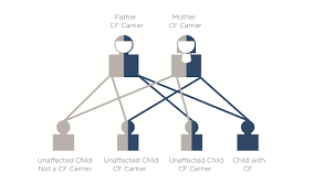 genetic carrier screening cfwa