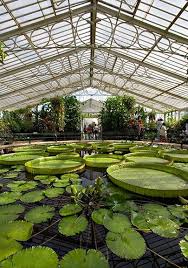Kew Gardens Gardens Of The World Kew Gardens London Kew Gardens