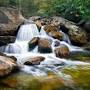 Profile Picture of Glenn Allen Triplett Obituary - Etowah, Tennessee - Legacy.com (@legacy.com) on Google