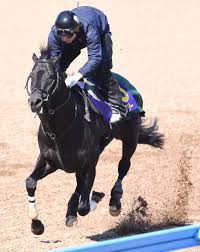 ダービーはダノンキングリーで間違いなし 1 ： 名無しさん＠実況で競馬板アウト ：2019/05/16(木) 06:44:47.18 id:94nahulj0.net 父ディープインパクトと母父キャットクイルの相性は言わずと知れたダービー実績抜群の配合 å¤§é˜ªæ¯ ãƒ€ãƒŽãƒ³ã‚­ãƒ³ã‚°ãƒªãƒ¼å¤‰ã‚ã‚‰ãšé †èª¿ ï½‡ï¼'å‹åˆ©ã®æ‚²é¡˜ã¸æº–å‚™ç€ã€… ç«¶é¦¬ãƒ‹ãƒ¥ãƒ¼ã‚¹ Netkeiba Com
