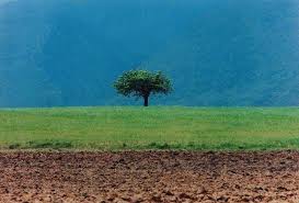 Mubi On Instagram Untitled 51 By Abbas Kiarostami 2000 Photography Film Stills Abba