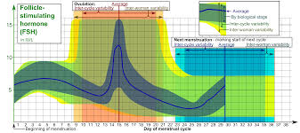 fil follicle stimulating hormone fsh during menstrual