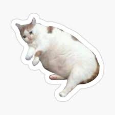Some health problems can also cause cats to gain or lose weight. Fat Cat Stickers Redbubble