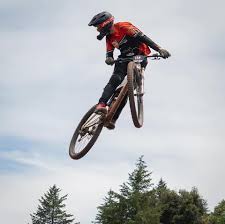 Profile for Victor Becerril