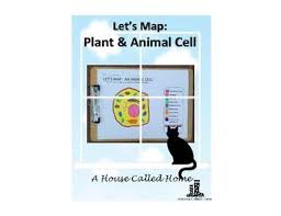 Check spelling or type a new query. Let S Map Plant And Animal Cells Plant And Animal Cells Animal Cell Cell