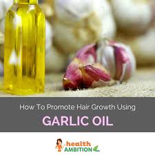 Here are 6 ways you can use garlic for hair treatment and growth. Can Garlic Oil Promote Hair Growth Health Ambition