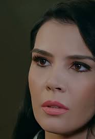 The main roles in the *KADERIMIN YAZILDIĜI GÜN* series (2014) Özcan Deniz  as Kahraman Yorükhan Hatice Şendil Şaĝyaşar as Elif Doğan