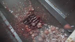 Yabanci birsey ariyorsaniz her birsey var. Liveleak Com Massive Fatality