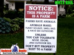 I thought vancouver was bad. 7 Ways To Deal With Bad Neighbors In Costa Rica Godutch Realty