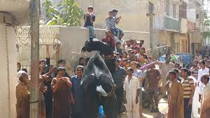 Qurbani, qurbani videos, eid ul adha qurbani, eid al adha qurbani, eid 2016. Angry Black Camel Runs Away During Qurbani In Pib Colony Danger Camel Qurbani Eid Ul Adha Part 2 3 Youtube