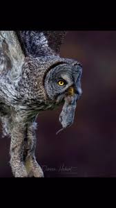 Darren Hebert (@darren_w_hebert) • Instagram photos and videos