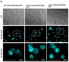Not that nagpapapansin ako sa kanya. Biomolecules November 2020 Browse Articles