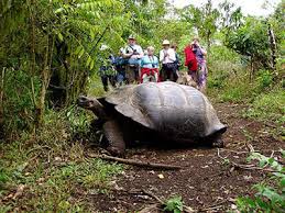 Resultado de imagen para islas galapagos