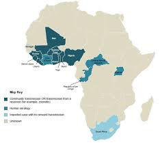 Image result for Lassa Fever